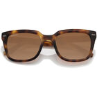 IDYLLWILD, Classic Tortoise-Mineral Polarized Drivers Gradient Cat 2 to 3, hi-res image number null